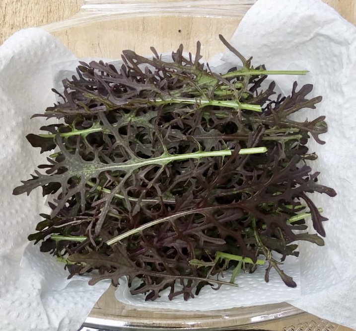 Hojitas Baby de Mizuna Morada x 70 unidades